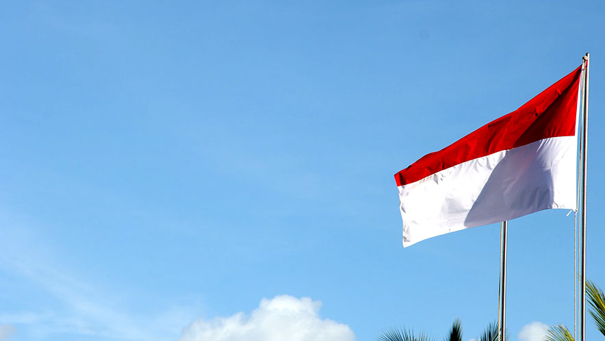 Indonesian flag with Ally Law